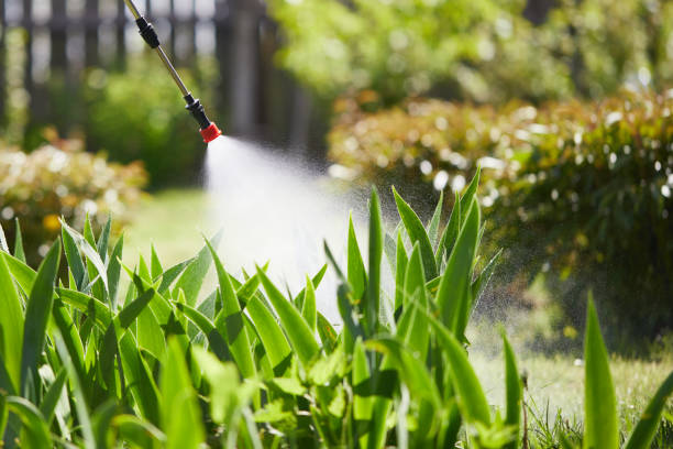 24/7 Emergency Termite Control experts in Gallitzin, PA